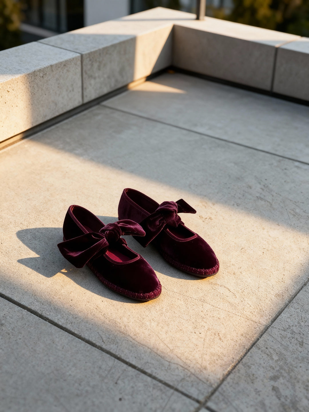 Ofelia Vino - Preventa